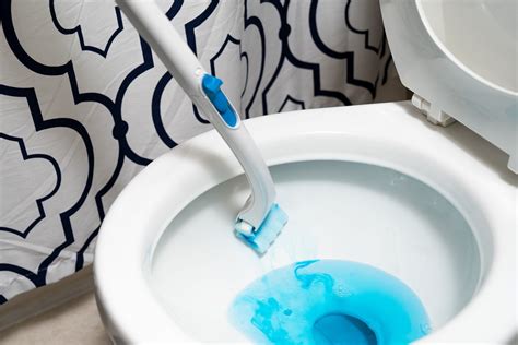 dirtytoulet|Dirty Toilet Bowl Cleaning Tips .